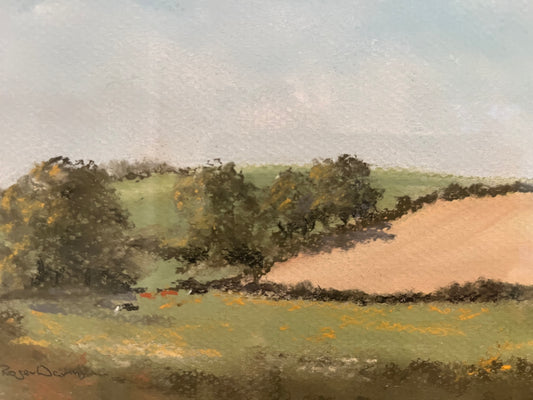 County Down Landscape