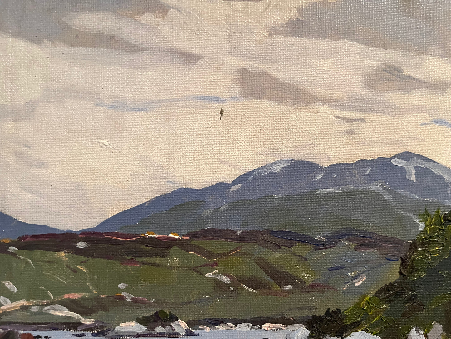 Connemara Landscape