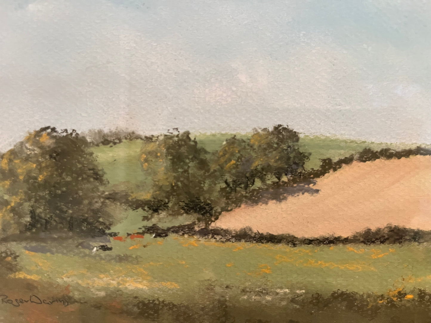 County Down Landscape