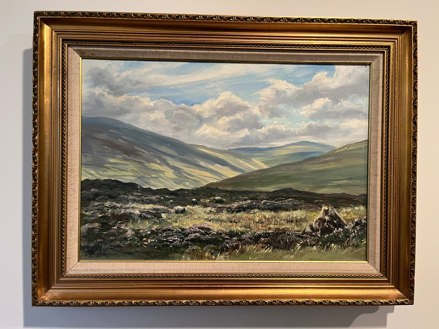 The Glens near Cushendun
