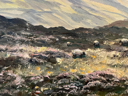 The Glens near Cushendun