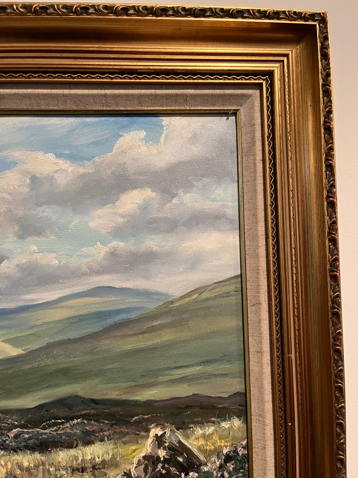 The Glens near Cushendun