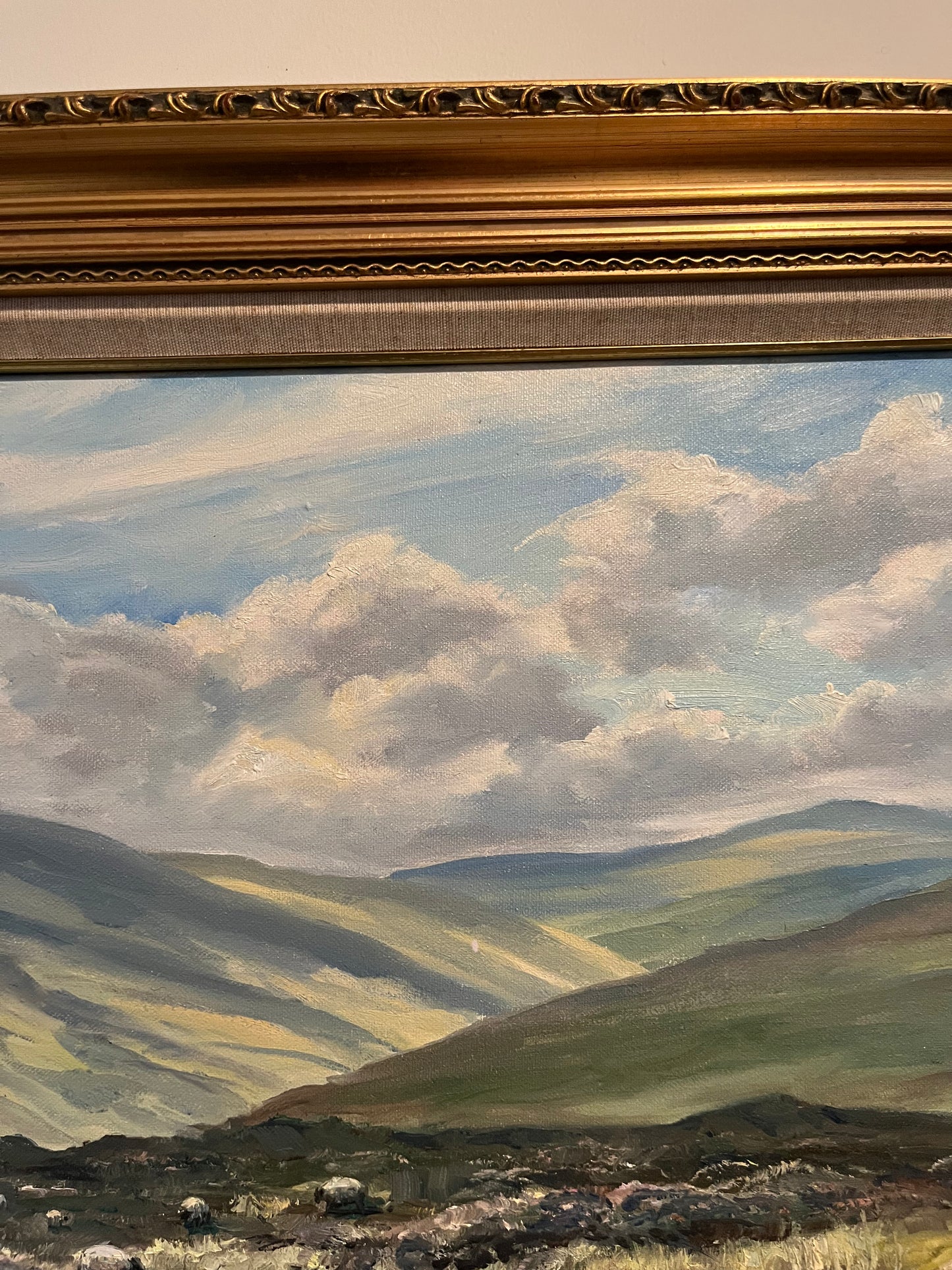 The Glens near Cushendun