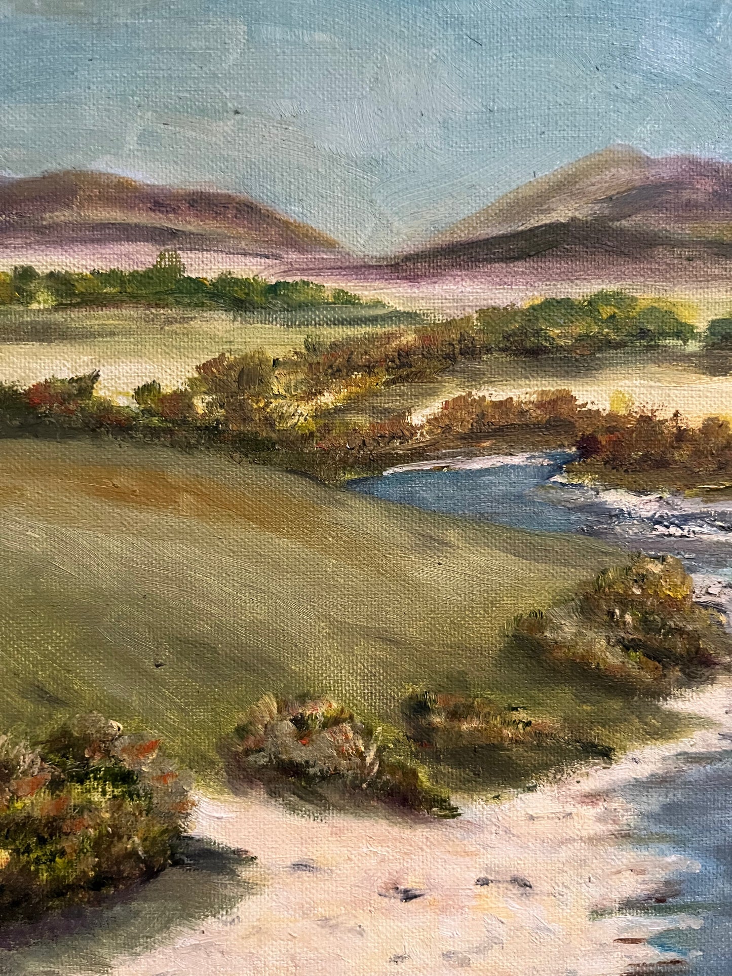 Mourne River