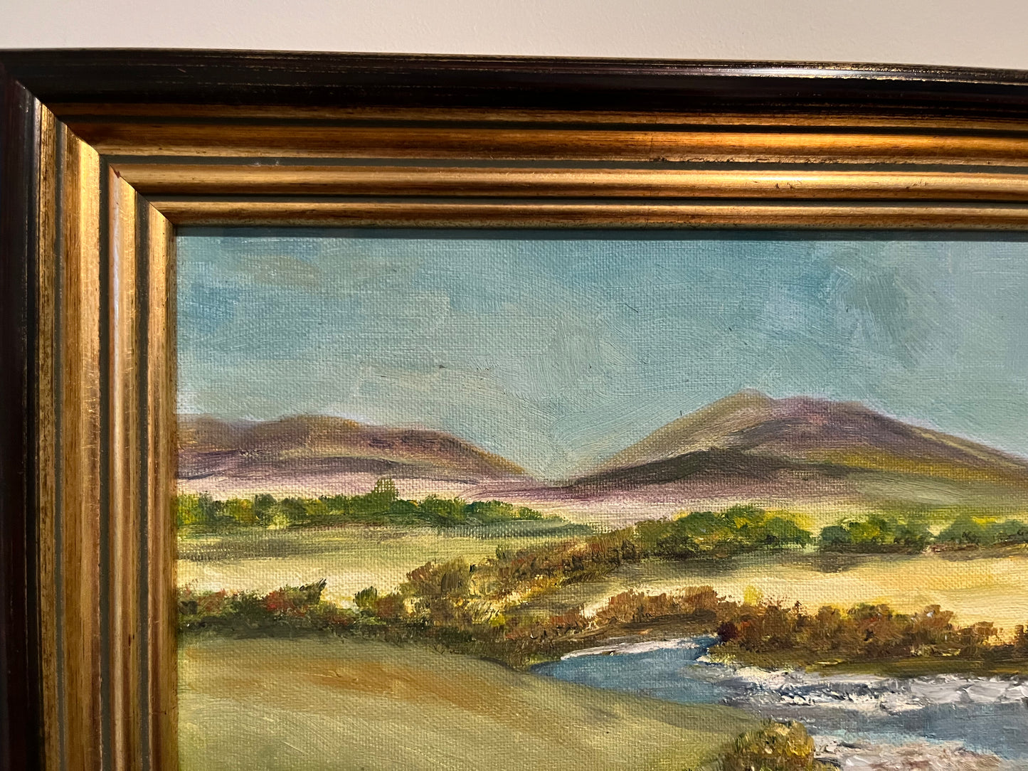 Mourne River