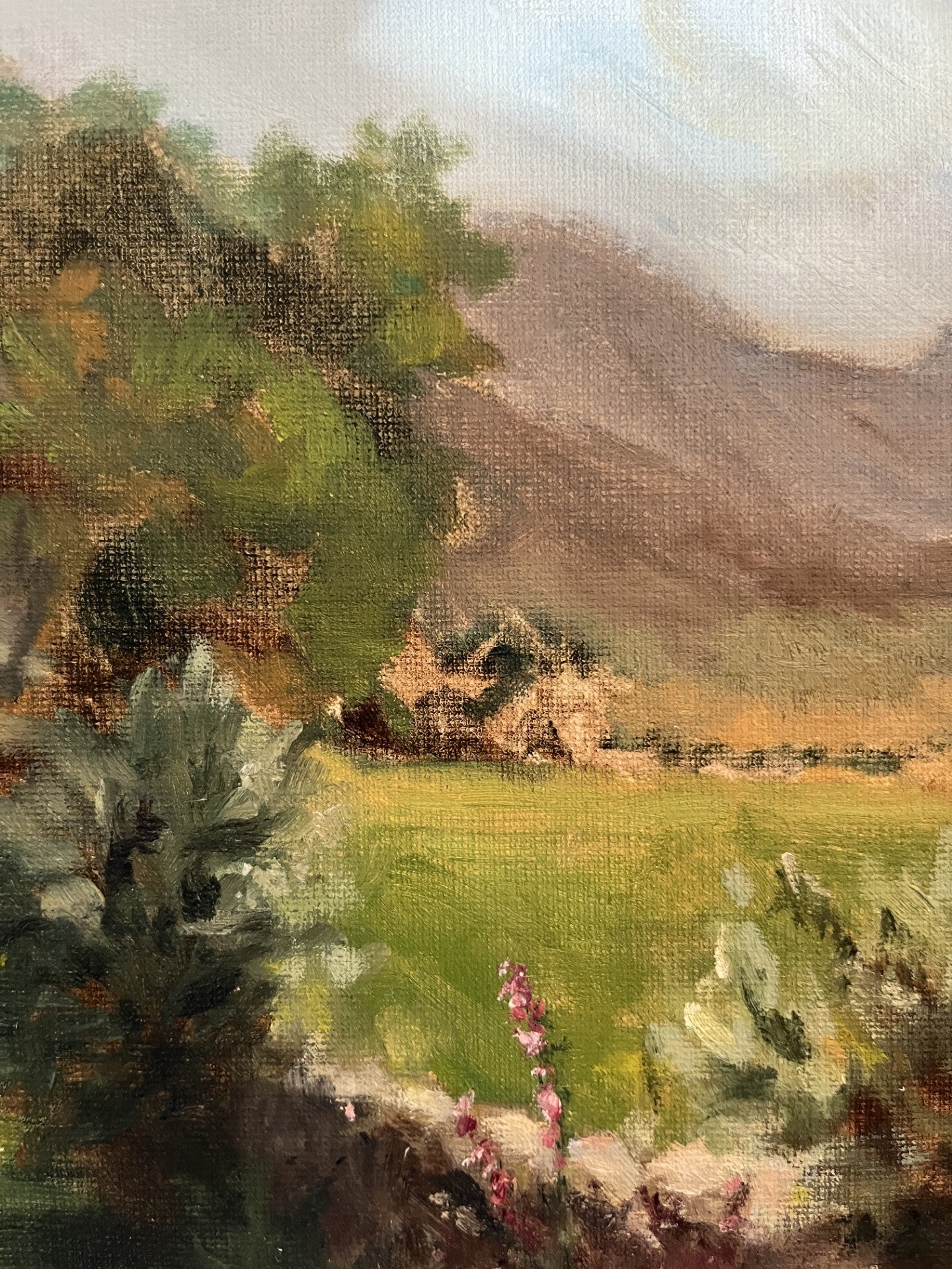 Summer in the Mournes signed by S. Hamill